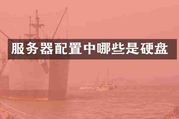服务器配置中哪些是硬盘