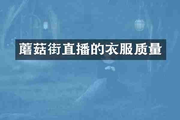 蘑菇街直播的衣服质量