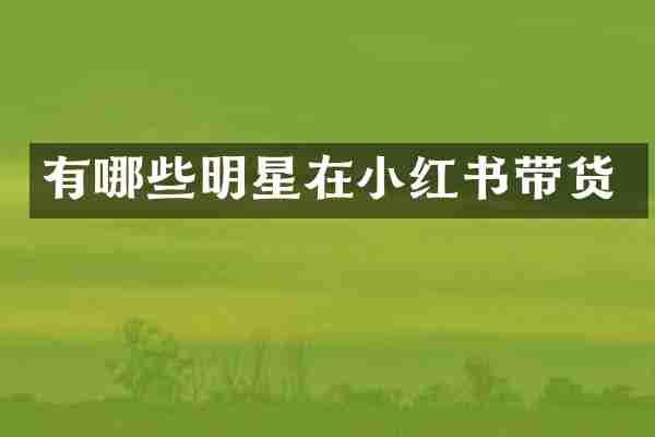 有哪些明星在小红书带货