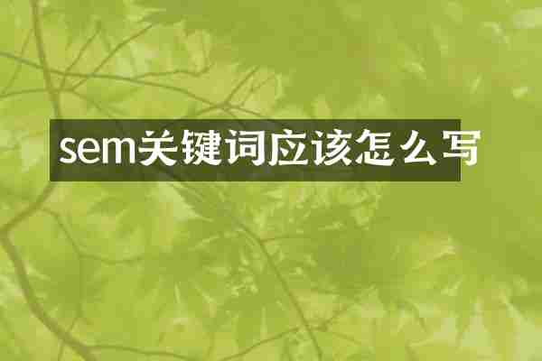 sem关键词应该怎么写