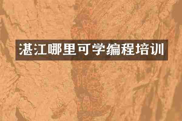 湛江哪里可学编程培训