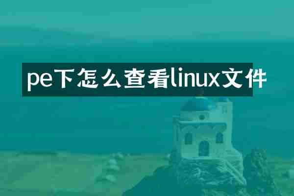 pe下怎么查看linux文件