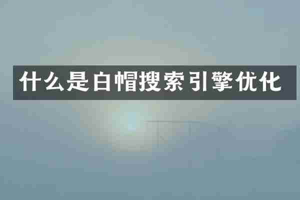 什么是白帽搜索引擎优化
