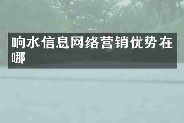 响水信息网络营销优势在哪