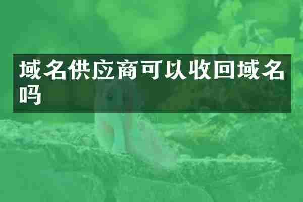域名供应商可以收回域名吗