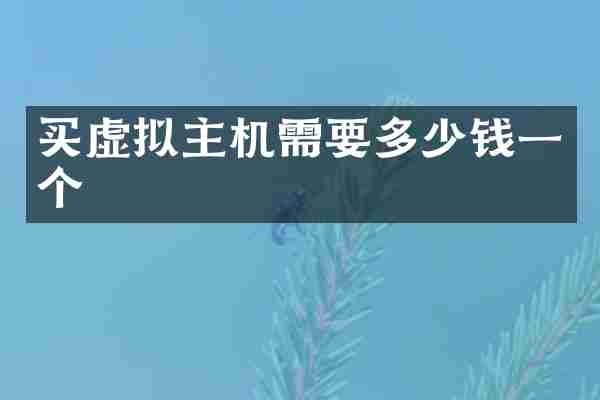 买虚拟主机需要多少钱一个