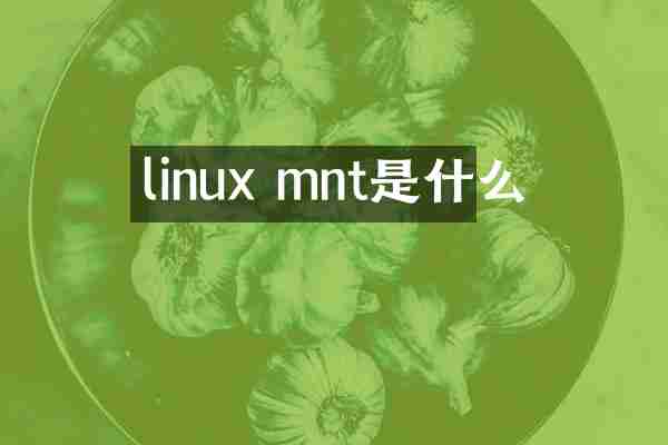 linux mnt是什么