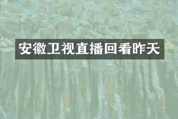 安徽卫视直播回看昨天