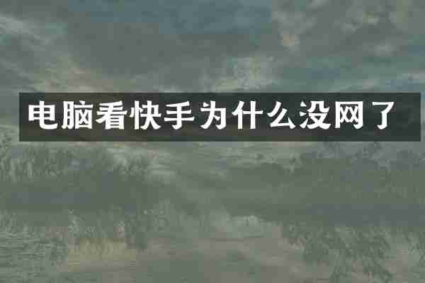 电脑看快手为什么没网了
