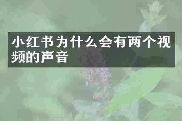 小红书为什么会有两个视频的声音