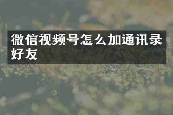 微信视频号怎么加通讯录好友