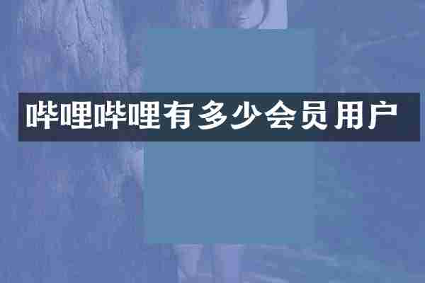 哔哩哔哩有多少会员用户