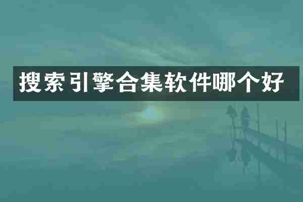 搜索引擎合集软件哪个好