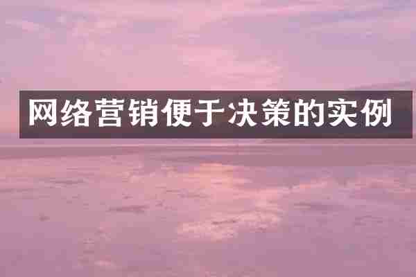 网络营销便于决策的实例