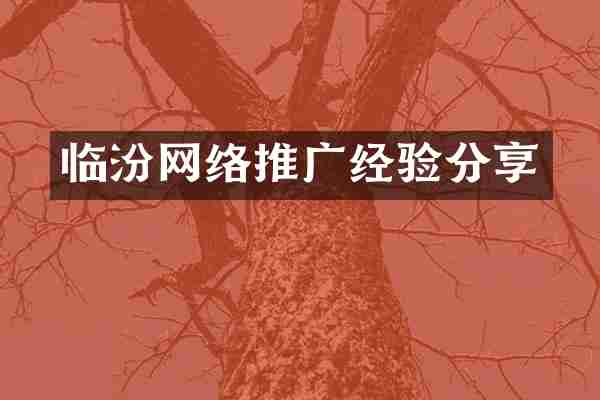 临汾网络推广经验分享