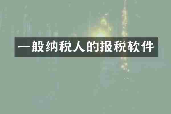 一般纳税人的报税软件