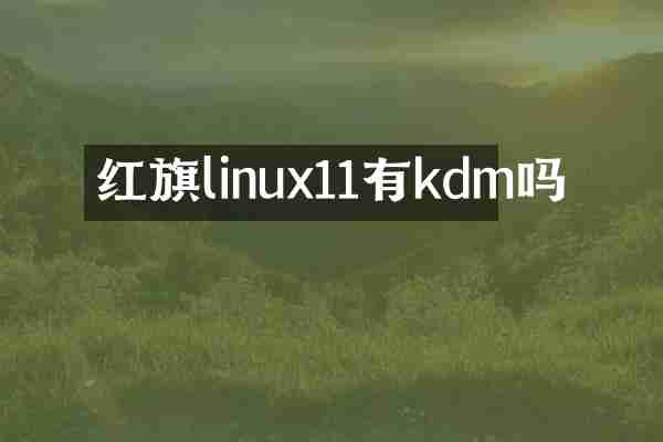 红旗linux11有kdm吗