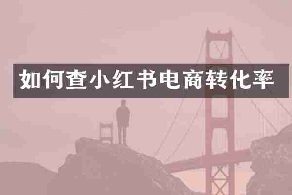 如何查小红书电商转化率
