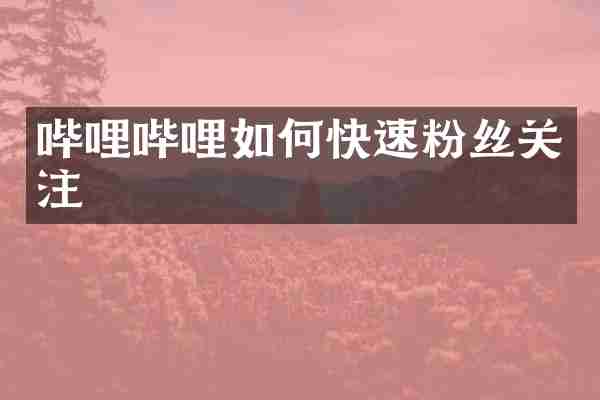 哔哩哔哩如何快速粉丝关注