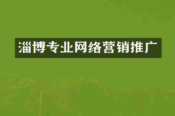 淄博专业网络营销推广