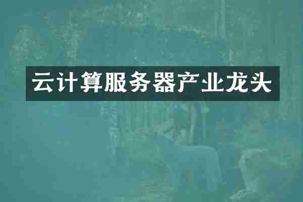 云计算服务器产业龙头
