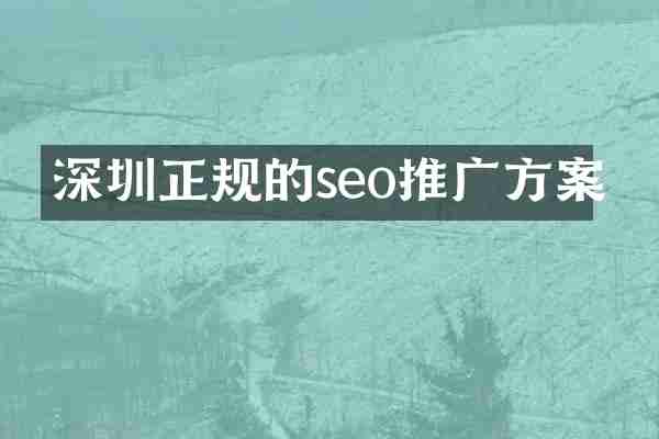 深圳正规的seo推广方案