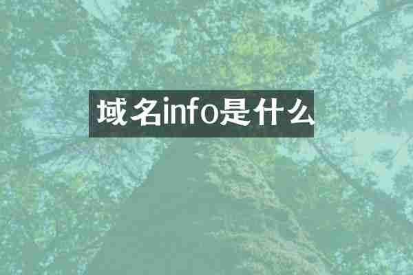 域名info是什么