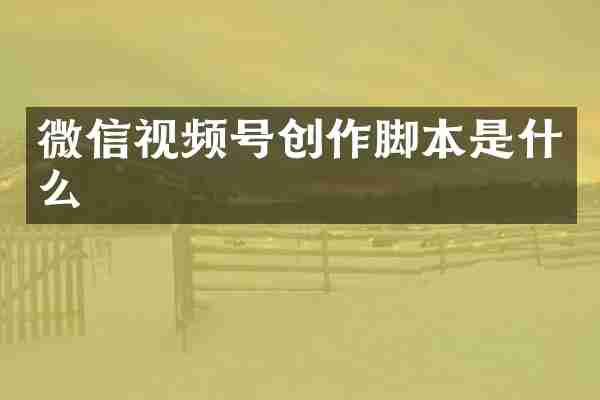 微信视频号创作脚本是什么