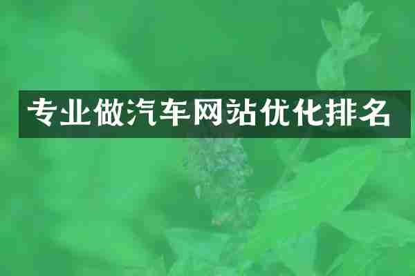 专业做汽车网站优化排名