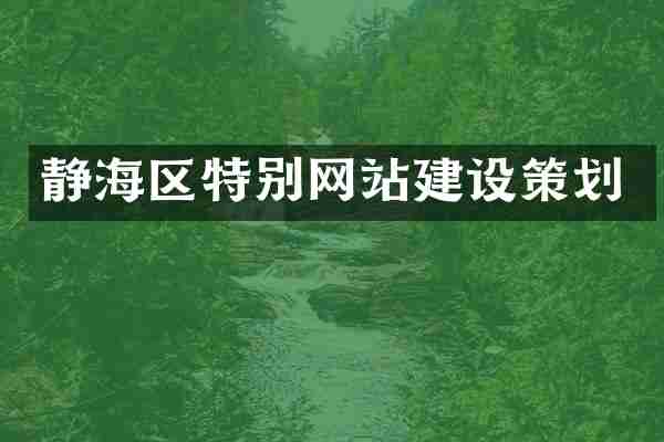 静海区特别网站建设策划