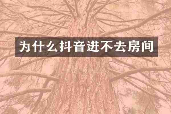 为什么抖音进不去房间
