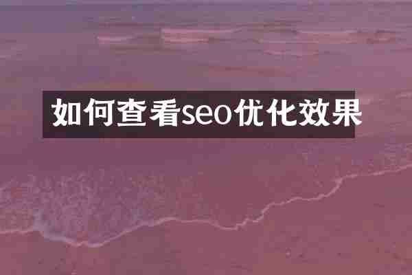 如何查看seo优化效果