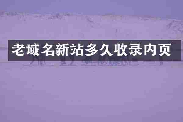 老域名新站多久收录内页
