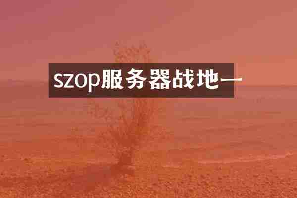 szop服务器战地一