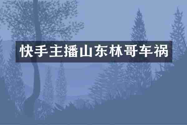 快手主播山东林哥车祸
