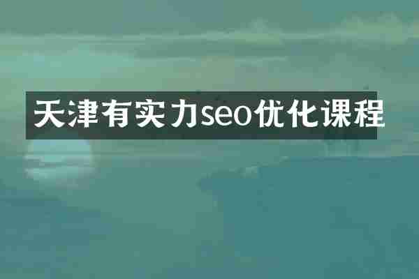 天津有实力seo优化课程