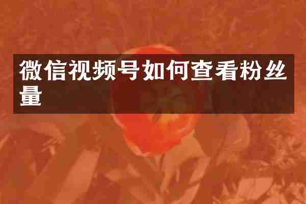 微信视频号如何查看粉丝量