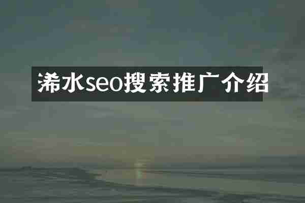 浠水seo搜索推广介绍