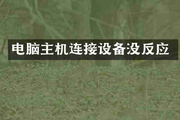 电脑主机连接设备没反应