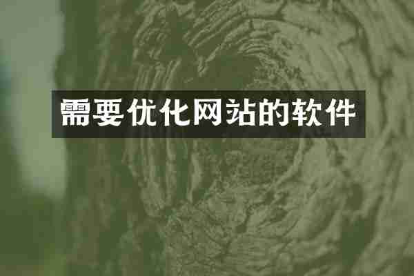 需要优化网站的软件