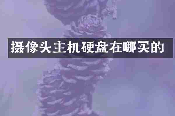 摄像头主机硬盘在哪买的