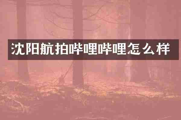 沈阳航拍哔哩哔哩怎么样