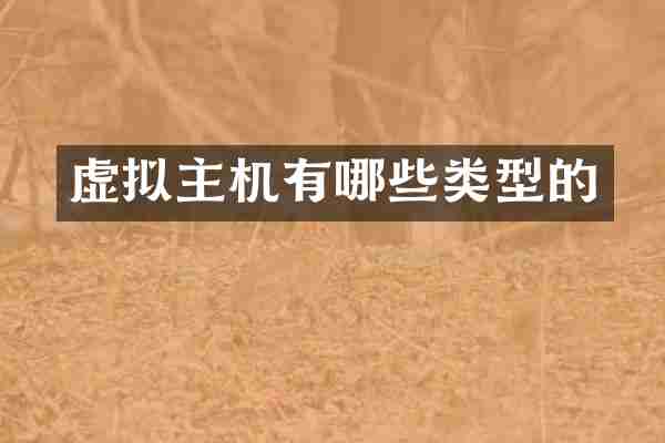 虚拟主机有哪些类型的
