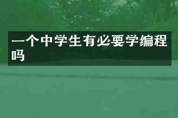 一个中学生有必要学编程吗