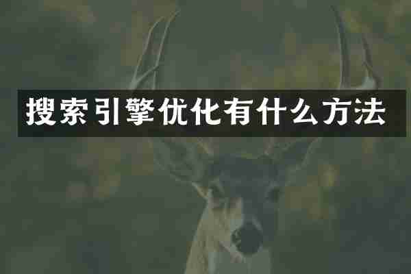 搜索引擎优化有什么方法