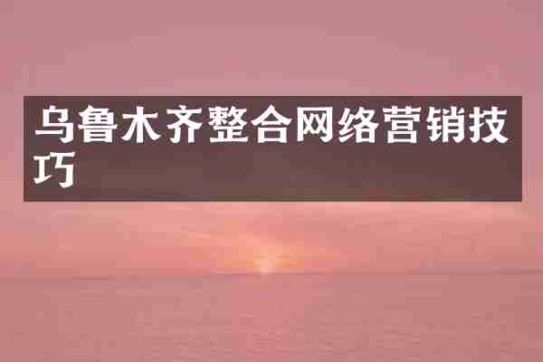 乌鲁木齐整合网络营销技巧
