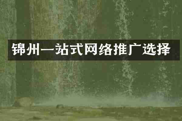 锦州一站式网络推广选择
