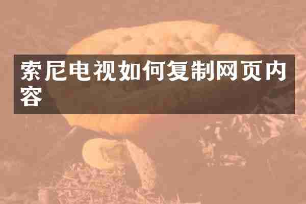 索尼电视如何复制网页内容