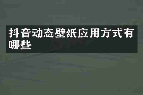 抖音动态壁纸应用方式有哪些