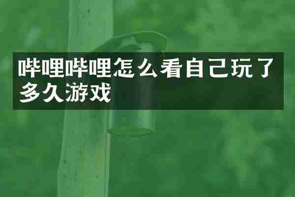 哔哩哔哩怎么看自己玩了多久游戏